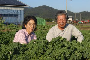 生食用ケール 通年栽培に挑む ｎｏｓａｉ徳島 徳島県農業共済組合